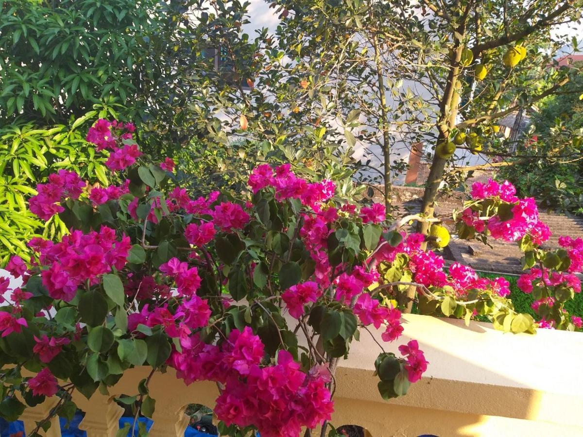 Lys Homestay Ninh Binh Eksteriør billede